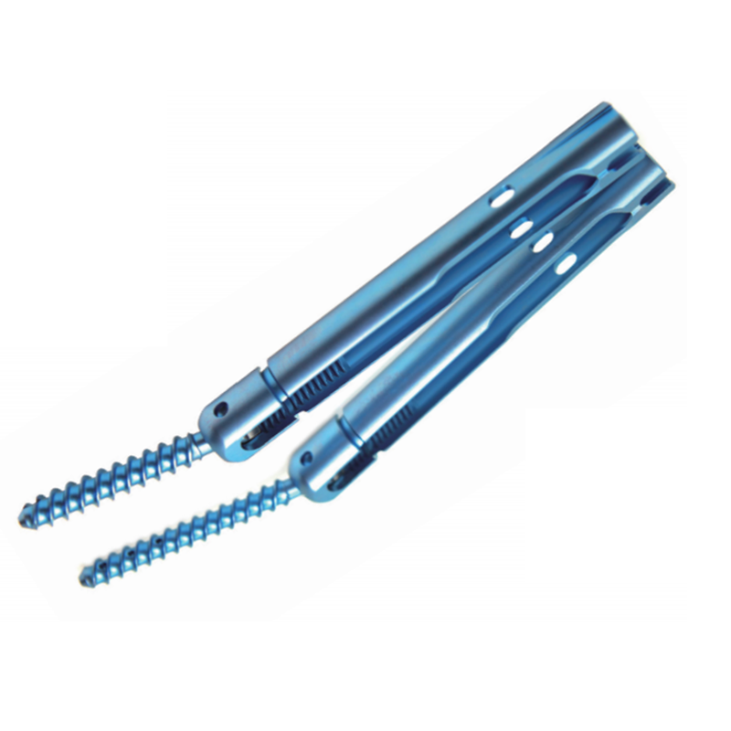 Polyaxial Pedicle Screw