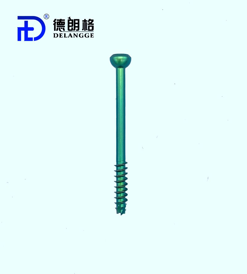 Cannulated Headless Compression Screw