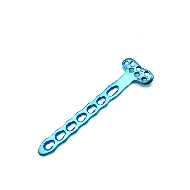 Radius Locking plate